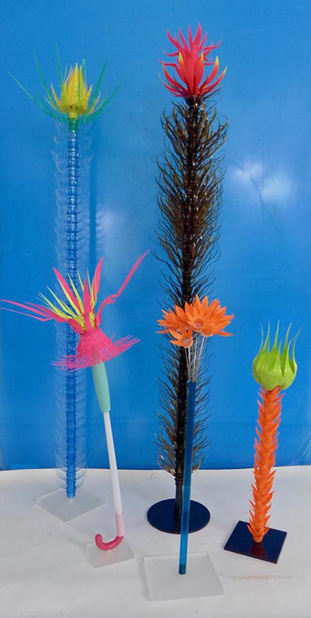 A Bloom b 9