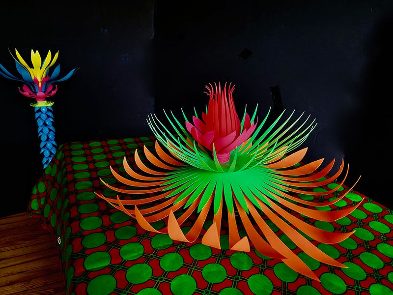 w Bloom 5